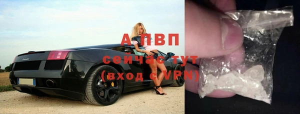 гидра Балахна