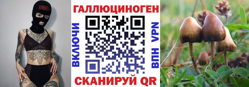 гидра онион Краснозаводск Псилоцибиновые грибы ЛСД